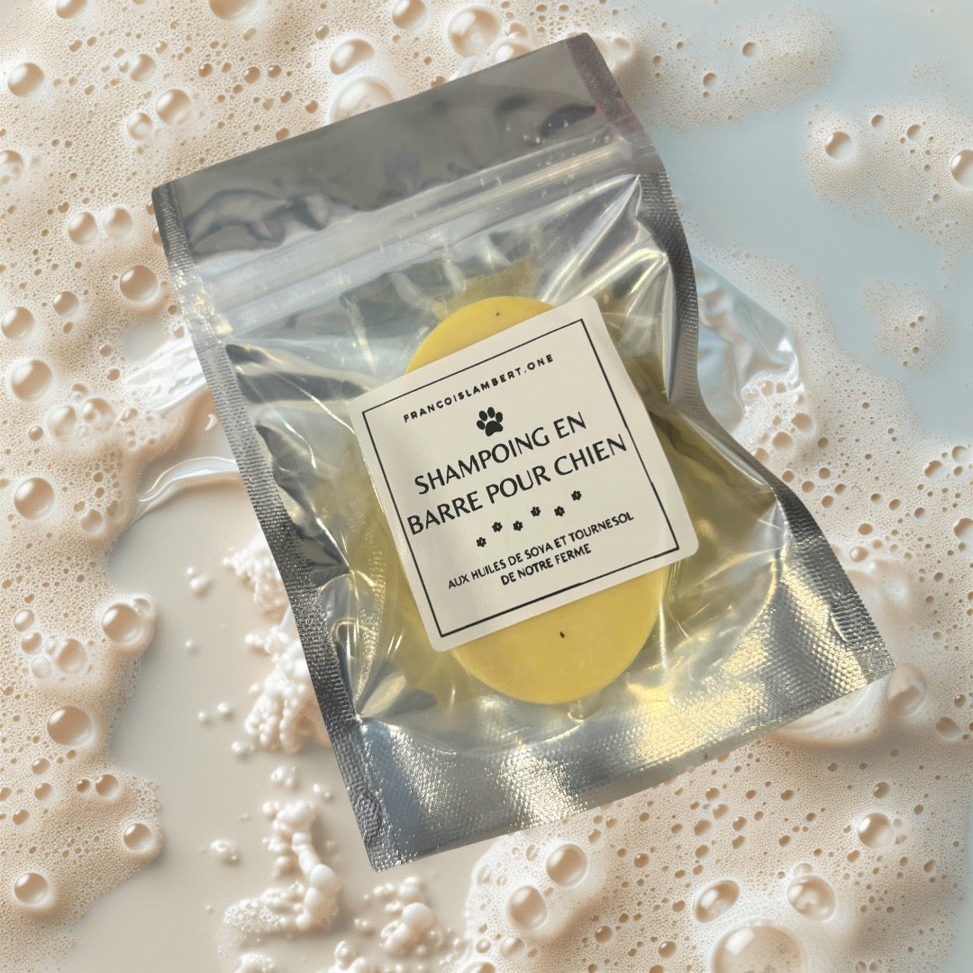 shampoo bar for gods in an artisanal bag