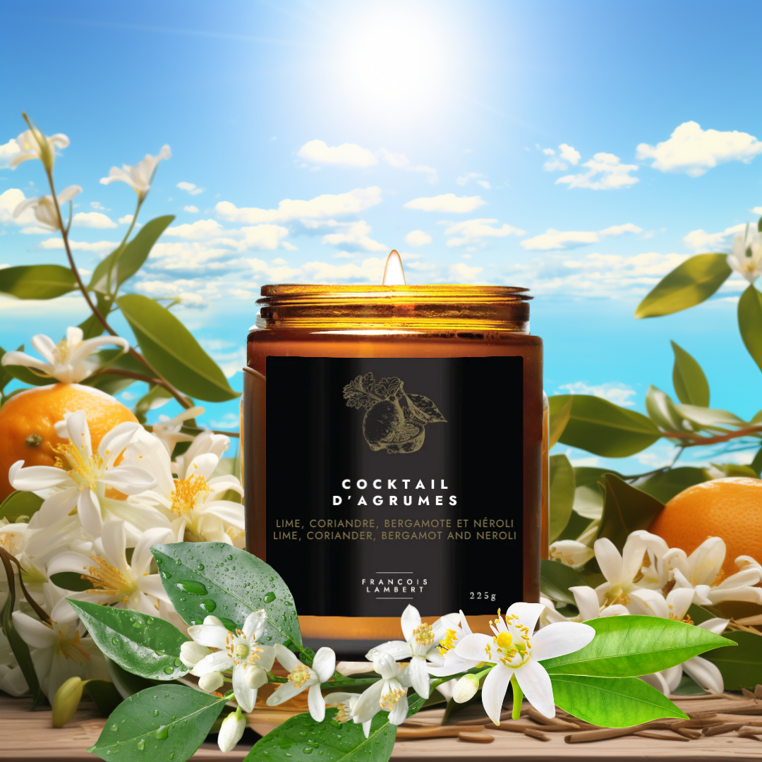 #11 Soy Wax Candle - Lime, Coriander, Bergamot & Neroli