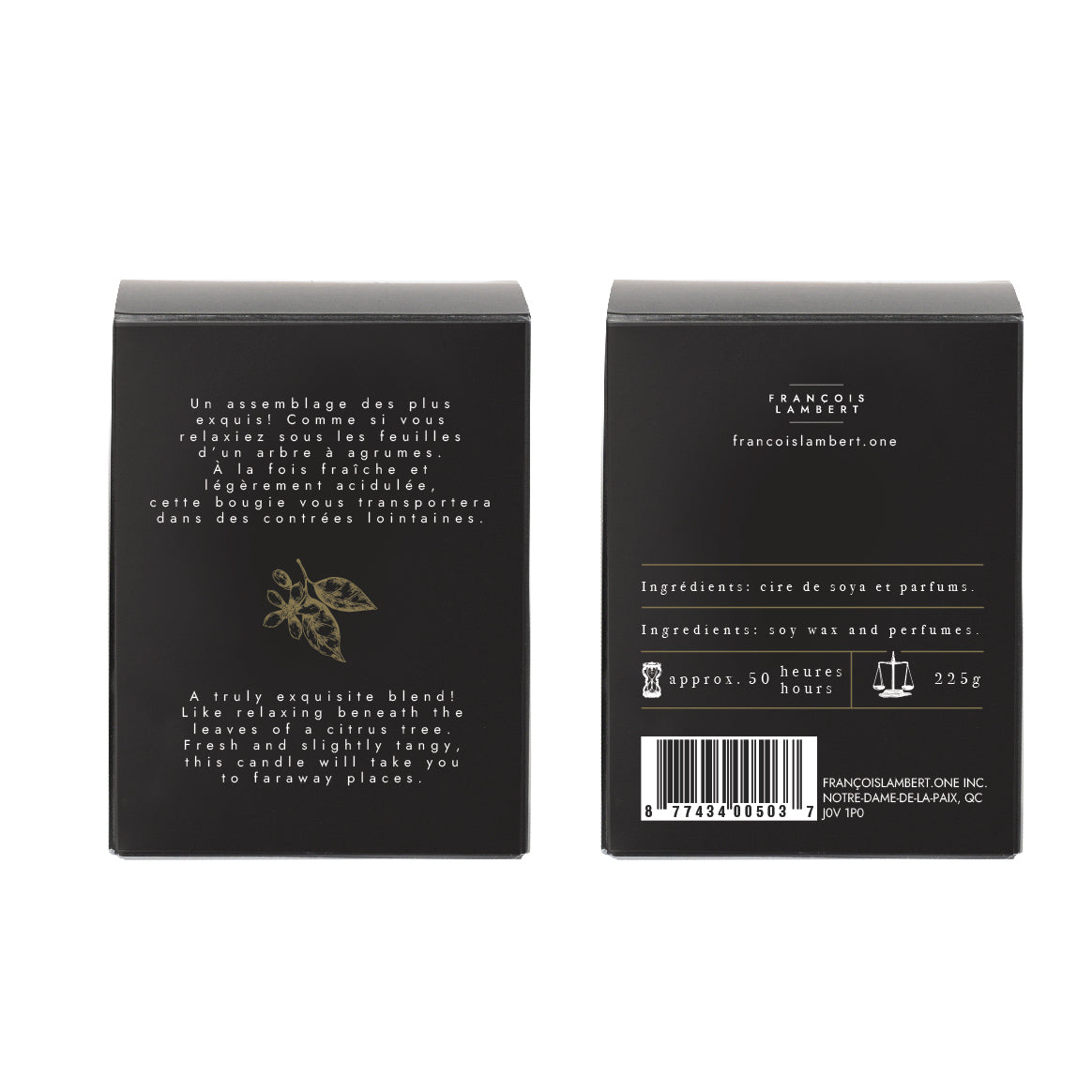 #11 Soy Wax Candle - Lime, Coriander, Bergamot & Neroli