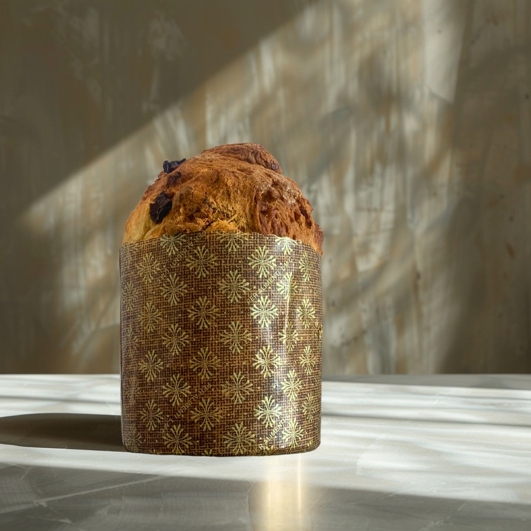 Maple Panettone
