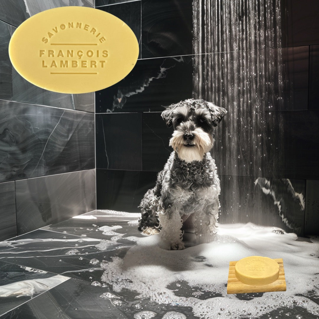 dog in a shower with a shampoo bar