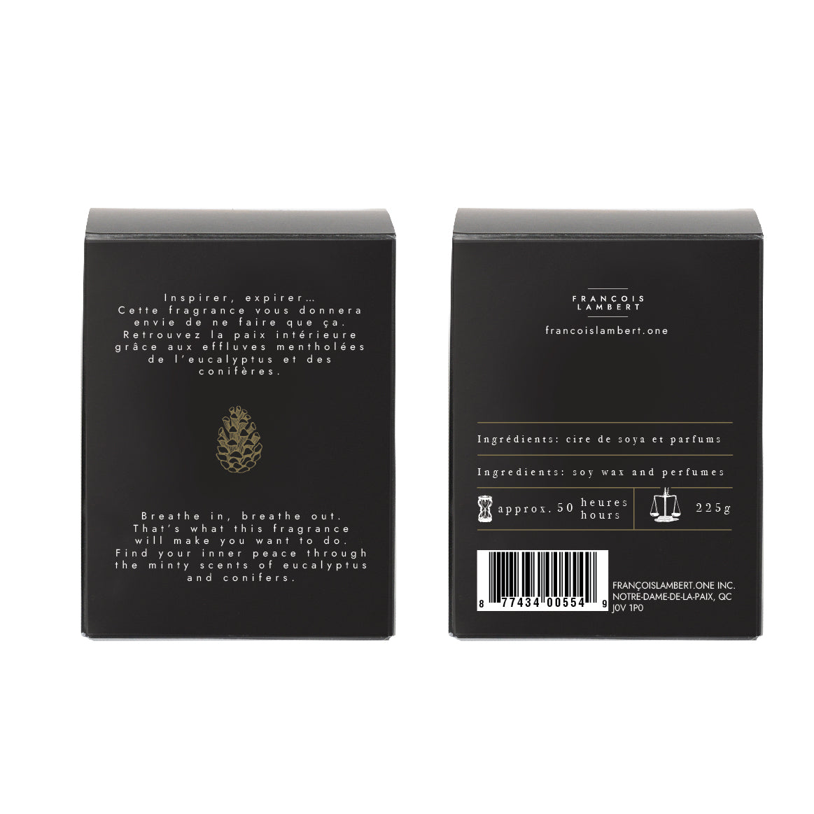 #29 Soy candle - Eucalyptus and conifers