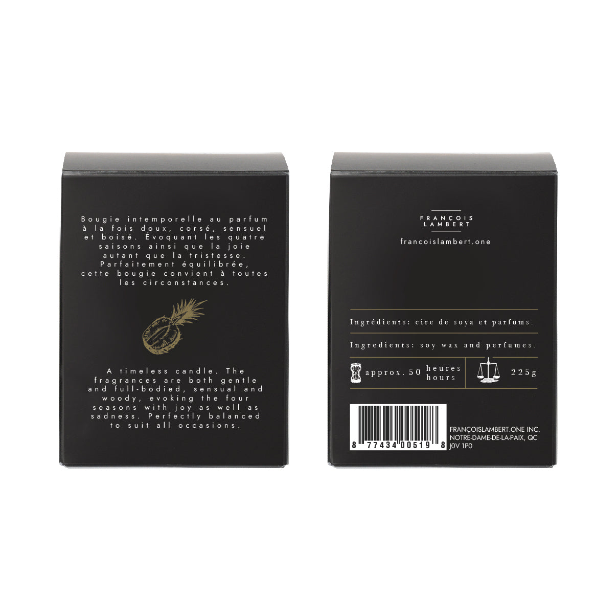 No.25 Pineapple Evergreen Soy Candle