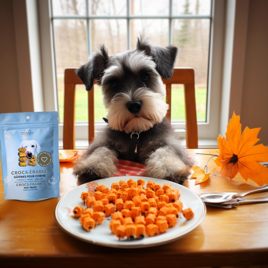 Dog sitting at the table with a plate in front of him with dog treats showing pumpkins and maple leafs with a bag of dog treats next to the plate and the dog